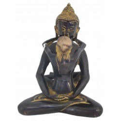 Bouddha Shakti 18cm 2,14kg